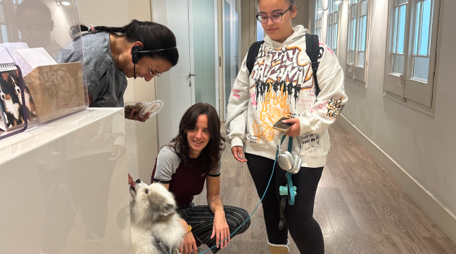 Acompañamiento terapéutico por etapas